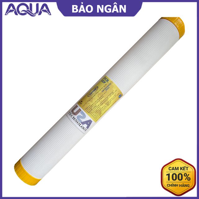 L&otilde;i lọc Cation