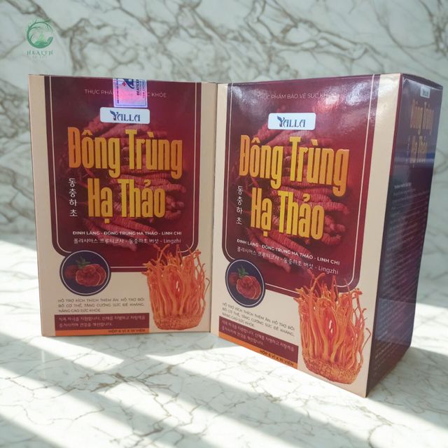 Đ&ocirc;ng Tr&ugrave;ng Hạ Thảo