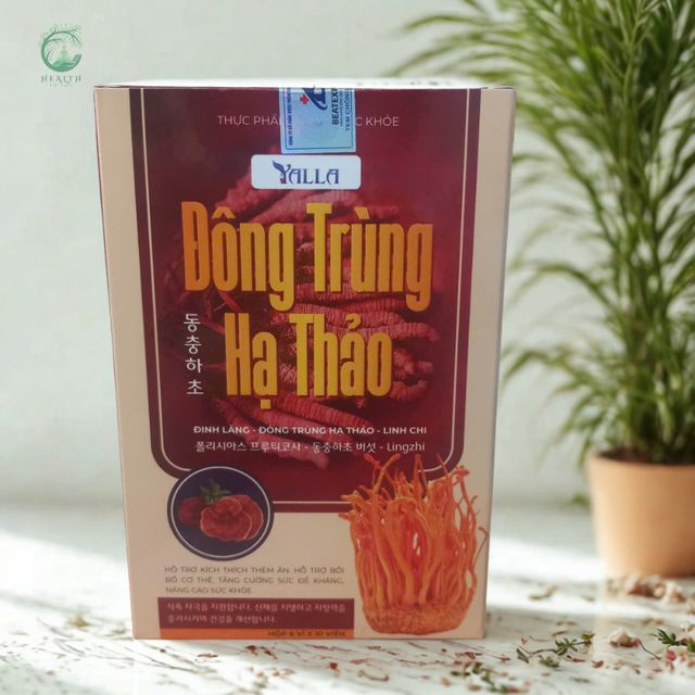 Đ&ocirc;ng Tr&ugrave;ng Hạ Thảo