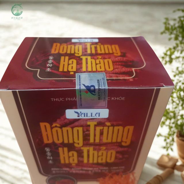 Đ&ocirc;ng Tr&ugrave;ng Hạ Thảo