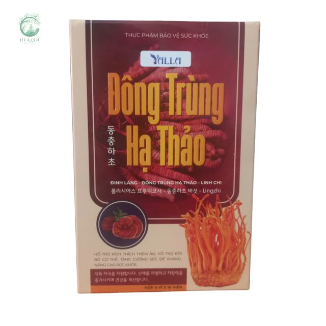 Đ&ocirc;ng Tr&ugrave;ng Hạ Thảo