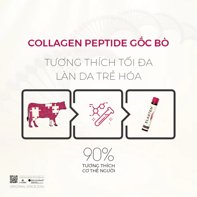 Th&agrave;nh phần Collagen Elasten