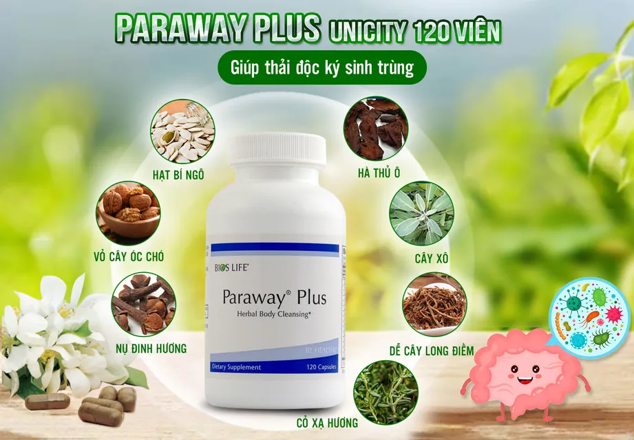 Hướng dẫn sử dụng Paraway Plus