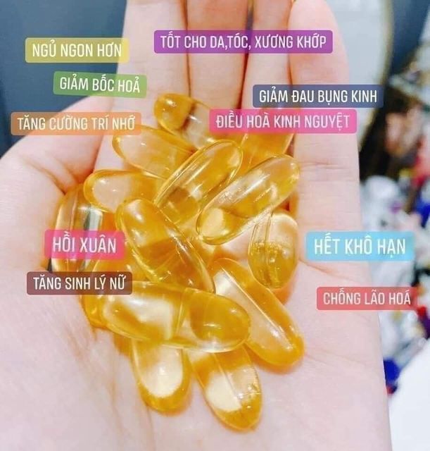 Vi&ecirc;n uống Hoa anh thảo Nature 365 Gamma-Linolenic Acid H&agrave;n Quốc 300V