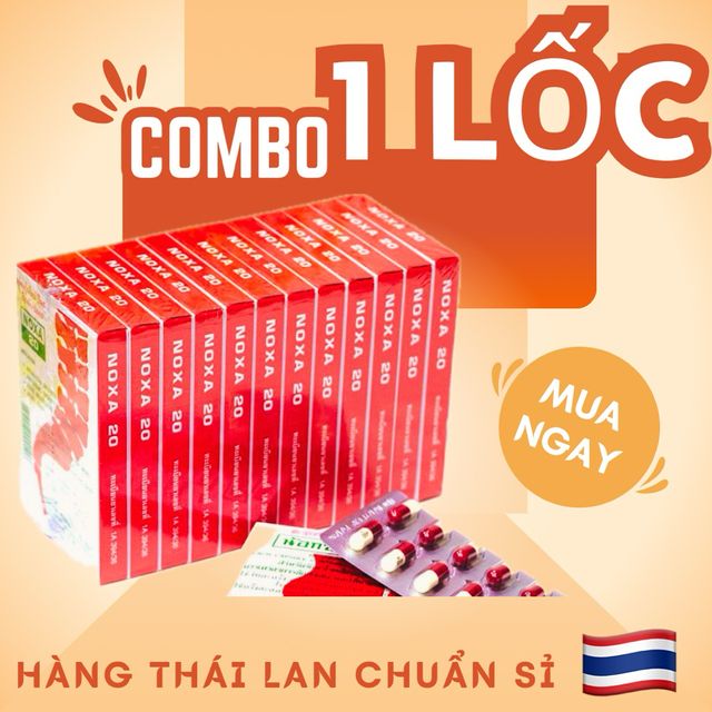 Combo 1 lốc 12 hộp XƯƠNG KHỚP Noxa 20 Th&aacute;i Lan
