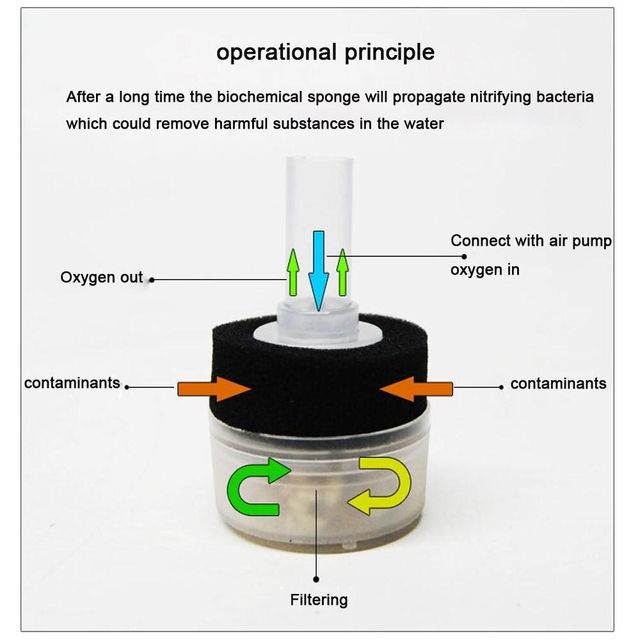 image product content 1