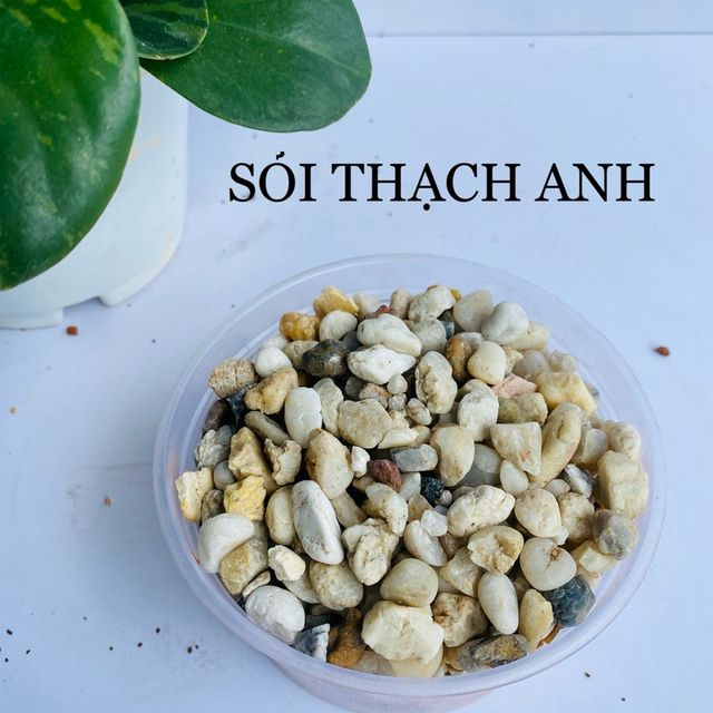 Sỏi thạch anh 1
