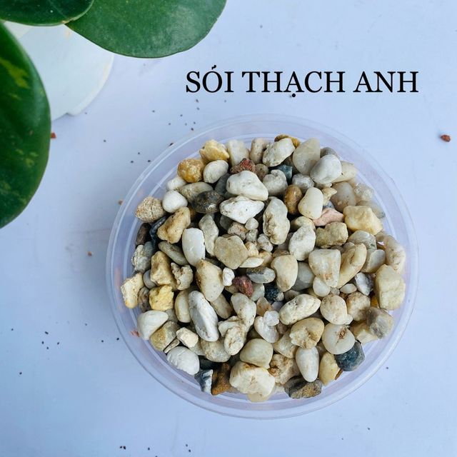 Sỏi thạch anh 3