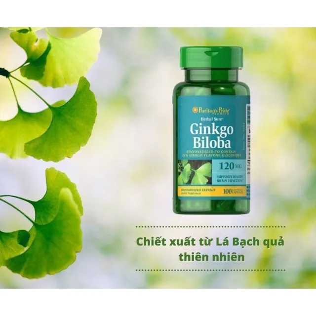 Sản phẩm Ginkgo Biloba