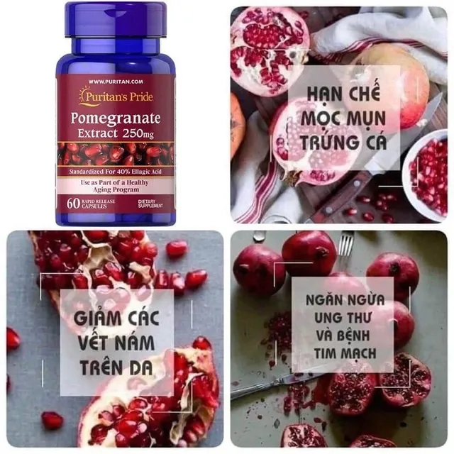 Hướng dẫn sử dụng