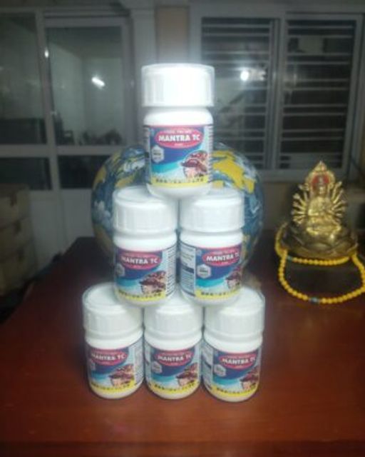 Sử dụng sản phẩm hỗ trợ diệt mối Mantra TC 30.5SC