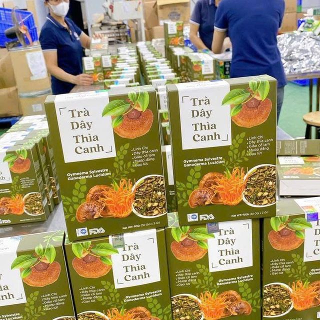 Tr&agrave; S&acirc;m D&acirc;y Th&igrave;a Canh Mộc T&acirc;m