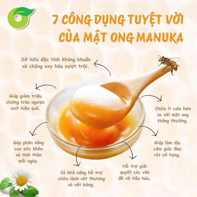 Mật ong Manuka UMF 5+ Comvita 500g
