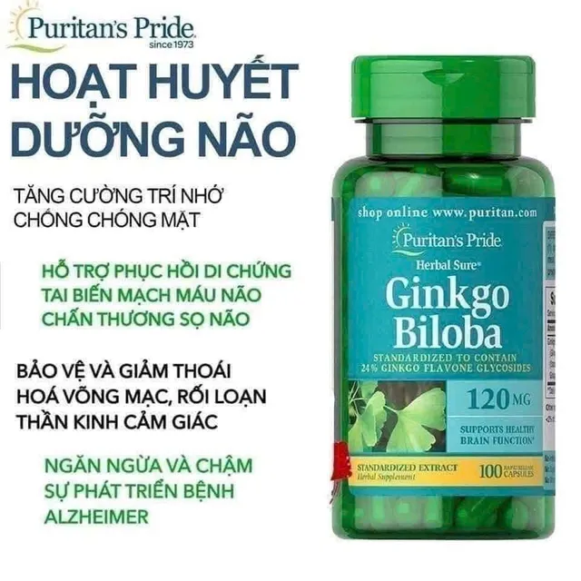 Vi&ecirc;n bổ n&atilde;o Ginkgo Biloba 120mg 100 vi&ecirc;n