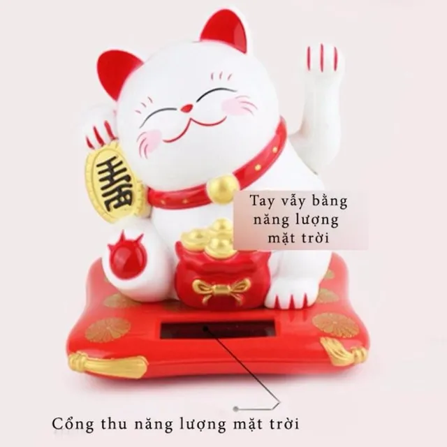 image product content 4