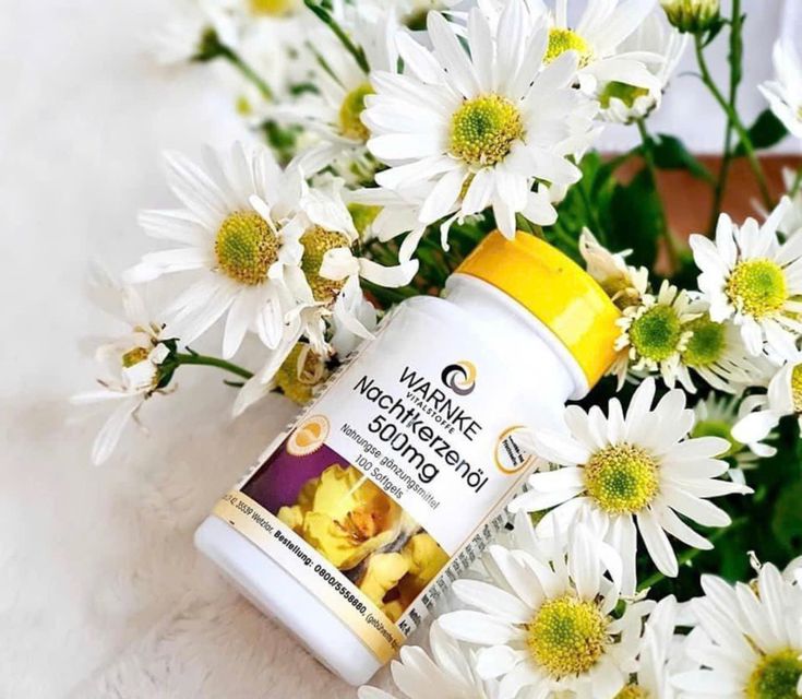 Tinh Dầu Hoa Anh Thảo Warnke Nachtkerzenol 500mg