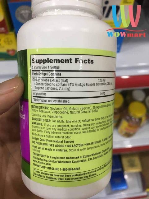 Ginkgo Biloba với Vinpocetine