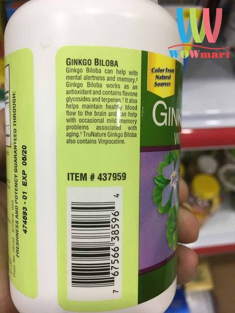 Ginkgo Biloba and Vinpocetine Capsules