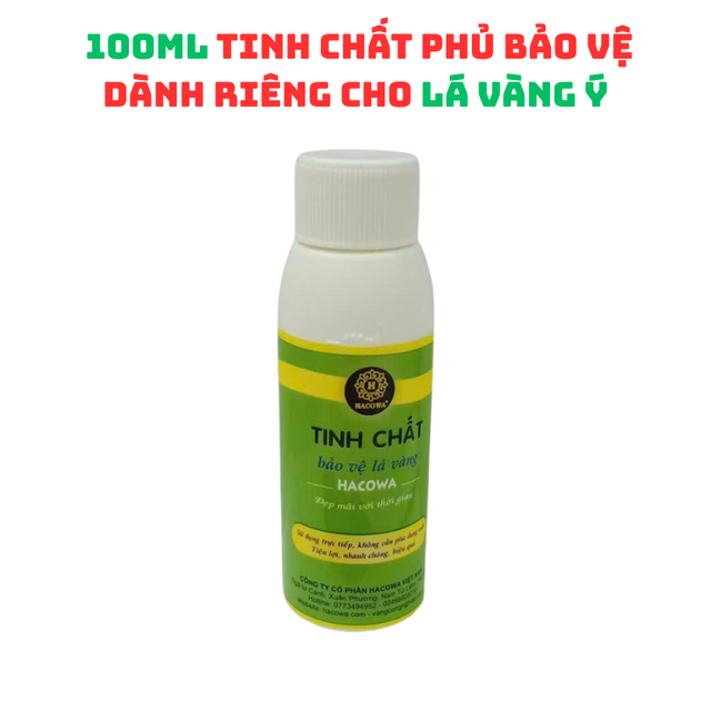 image product content 1