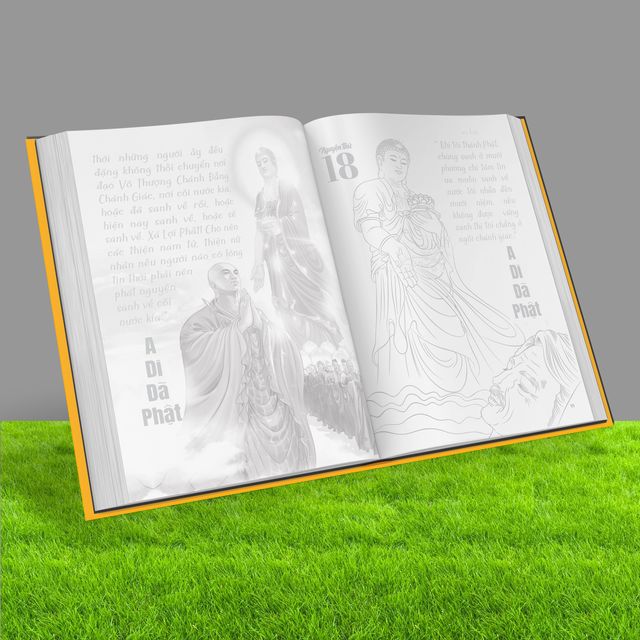 image product content 5