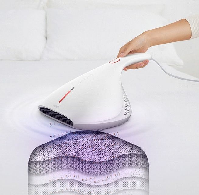 image product content 3