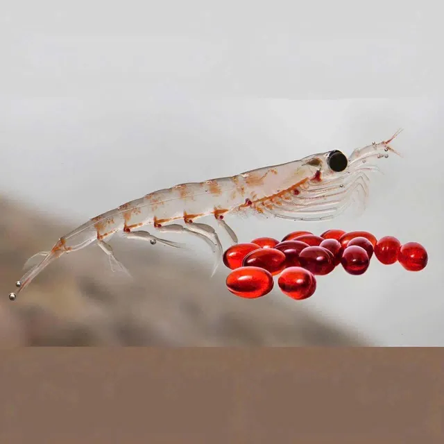 Dầu nhuyễn thể Krill Oil Kirkland Signature 180 vi&ecirc;n
