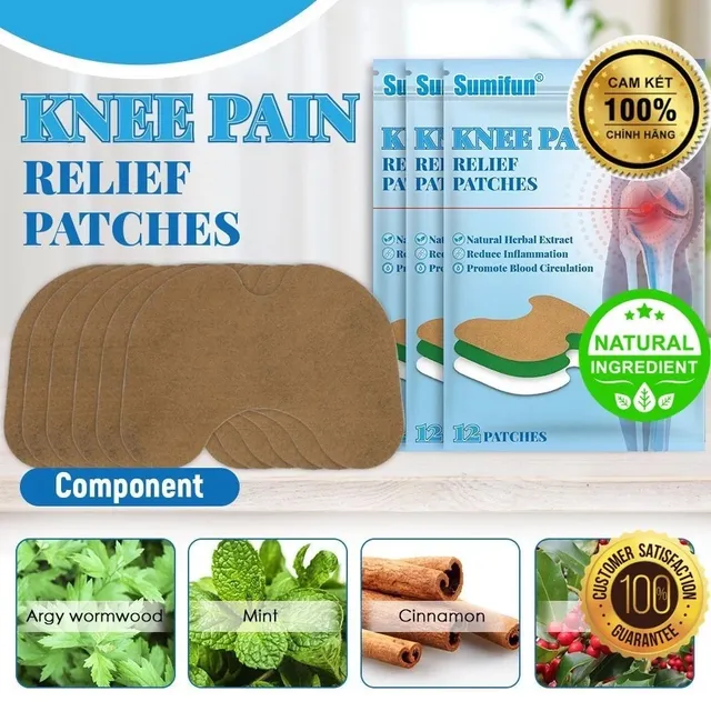 Mua 12 Miếng D&aacute;n Đau Đầu Gối Mugwort