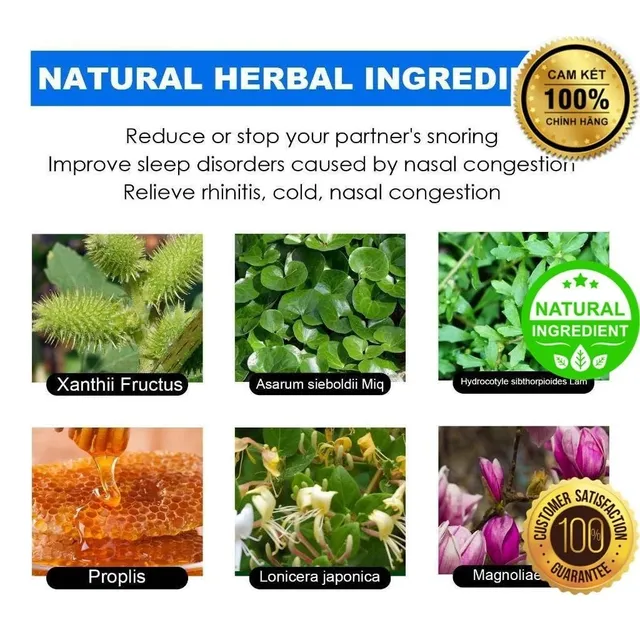 Chai Xịt ngừng hẳn Ng&aacute;y Ngủ