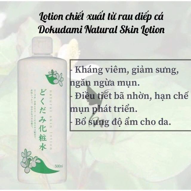 Nước Hoa Hồng Diếp C&aacute; Chinoshio Dokudami - thiết kế
