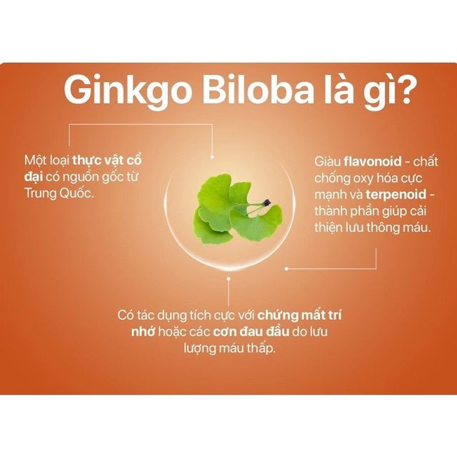 NOW Ginkgo Biloba 60 mg