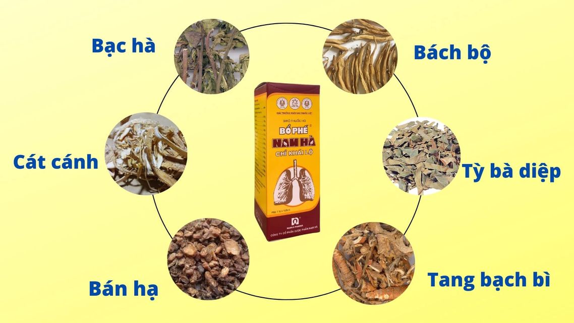 Bổ Phế Nam H&agrave; chỉ kh&aacute;i lộ chứa c&aacute;c th&agrave;nh phần gi&uacute;p <span style=