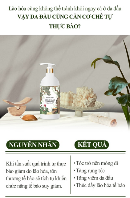 image product content 4
