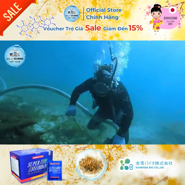 Tảo Biển Xanh Super Fucoidan Okinawa Kanehide - Hộp 30 G&oacute;i