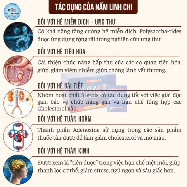 Tảo Biển Xanh Super Fucoidan Okinawa Kanehide