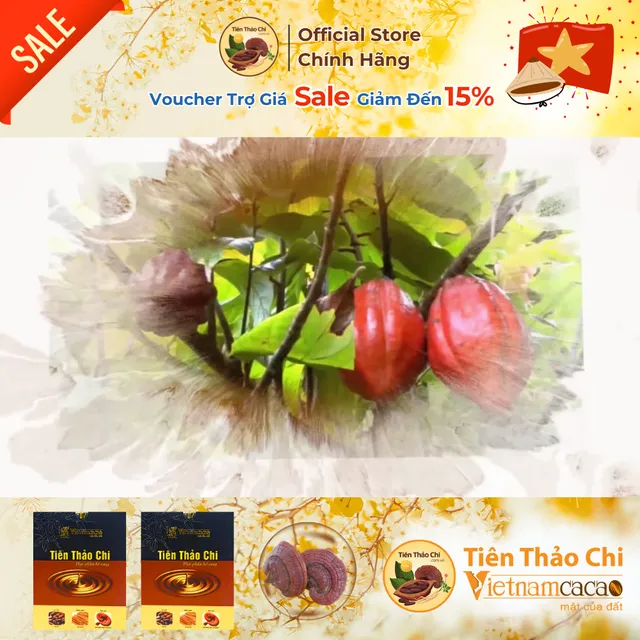 Bột Ca Cao Nh&acirc;n S&acirc;m v&agrave; Nấm Linh Chi