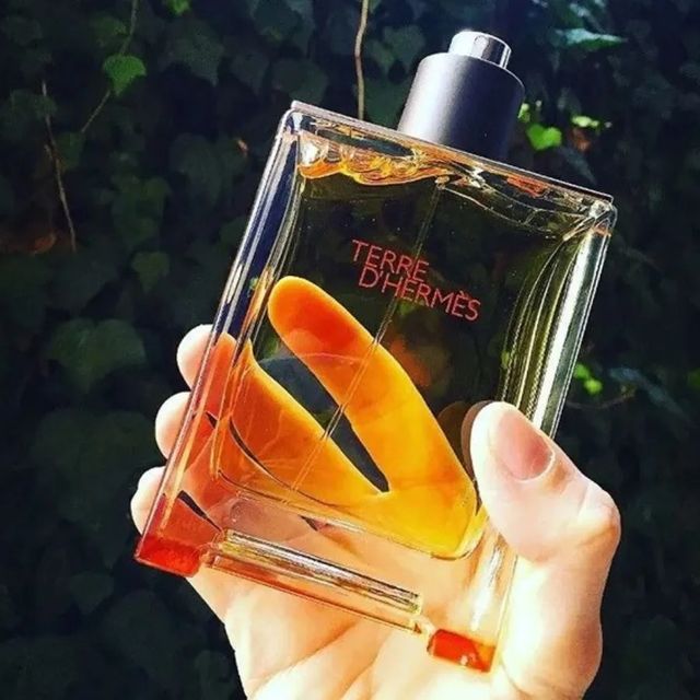 Nước Hoa Nam Herm&egrave;s Terre D'Herm&egrave;s