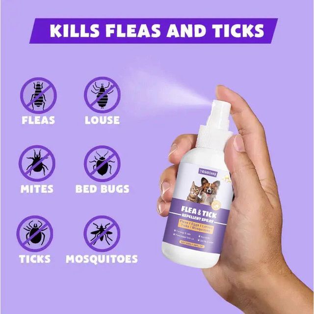 Chai Xịt Ve Rận, Bọ Ch&eacute;t Ch&oacute; M&egrave;o 50ml