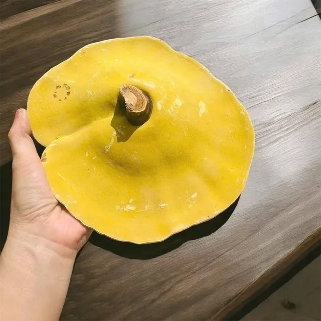 Lợi &iacute;ch Nấm Linh Chi Geumsang