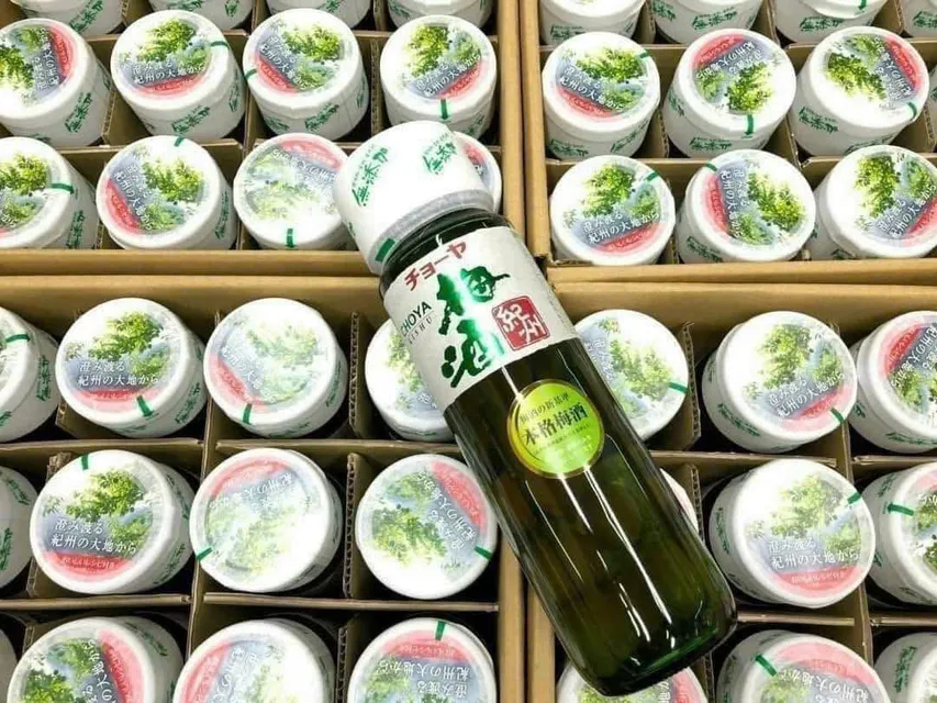 Rượu Mơ Xanh Choya
