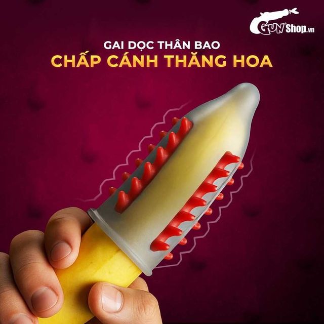 Thiết kế Bao cao su OLO Phượng Ho&agrave;ng