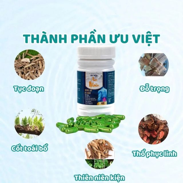 Vi&ecirc;n uống xương khớp An Nhi&ecirc;n