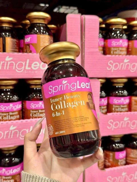 Vi&ecirc;n uống collagen Spring Leaf 6 trong 1