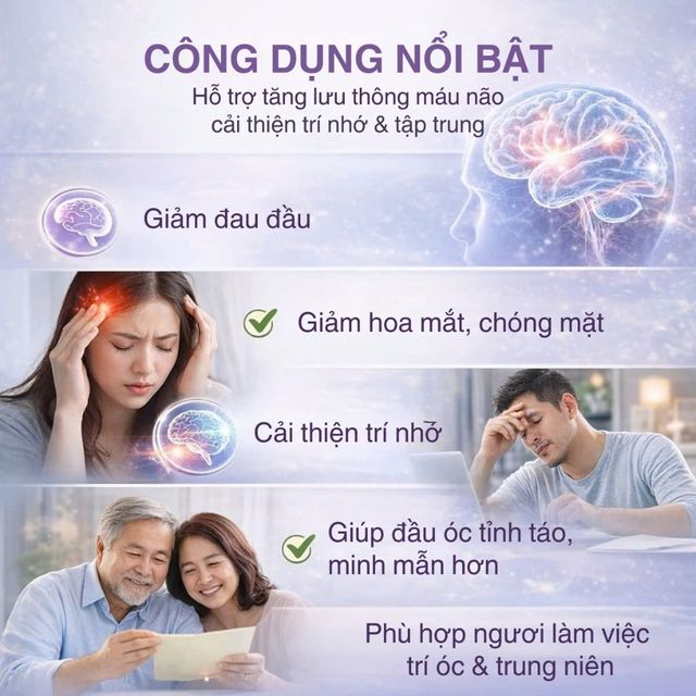 Vi&ecirc;n Uống Bổ N&atilde;o Ginkgoforte