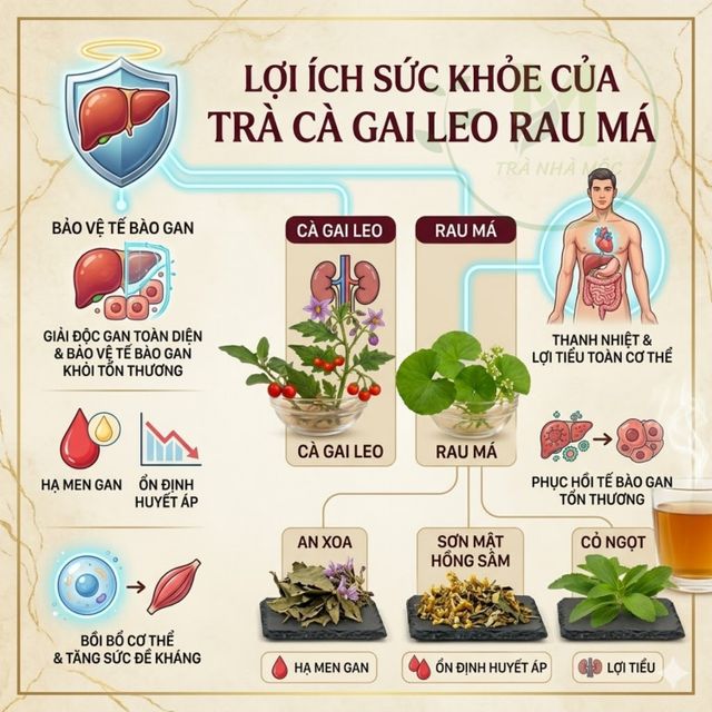 Tr&agrave; C&agrave; Gai Leo T&uacute;i Lọc Mộc T&acirc;m