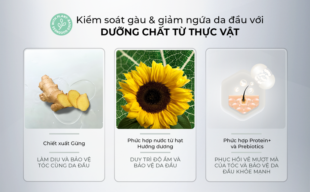 image product content 4