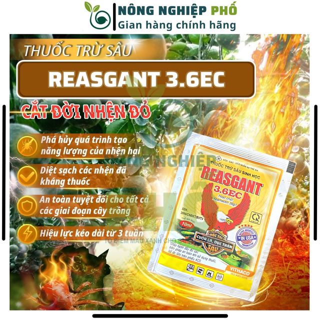 image product content 1