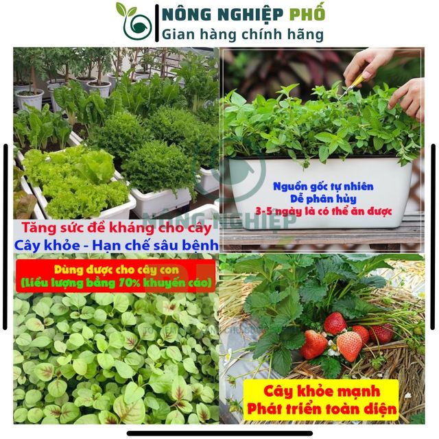 image product content 2