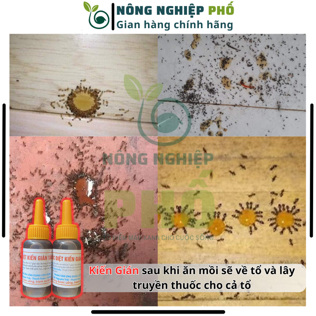 image product content 2