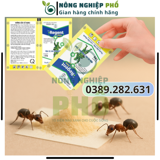 image product content 3