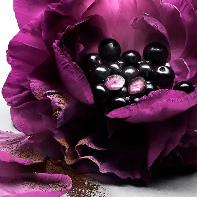 Nước Hoa Nữ Lanc&ocirc;me La Nuit Tr&eacute;sor Le Parfum
